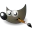 GIMP